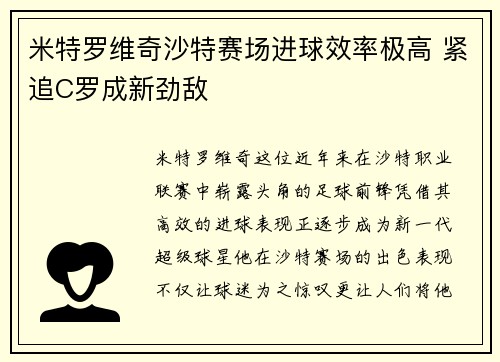 米特罗维奇沙特赛场进球效率极高 紧追C罗成新劲敌 米特罗维奇沙特赛场进球效率极高 紧追C罗成新劲敌